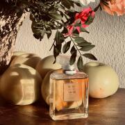 Chanel No 19 Poudre Chanel perfume - a fragrance for women 2011