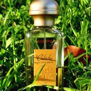 caleche fragrantica