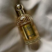 Aqua Allegoria Forte Bosca Vanilla Guerlain perfume - a fragrância