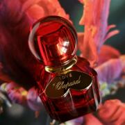 Photo by Лиза Брж