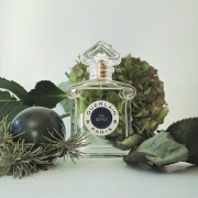 Vol De Nuit Eau De Toilette Guerlain perfume - a fragrância