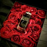 Rouge Nocturne Terry de Gunzburg perfume - a fragrance for women 2014