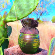 Photo by Abby Normal