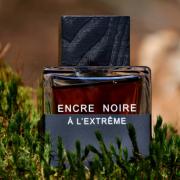 Lalique encre noire online extreme fragrantica