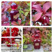 Photo by Корица1970