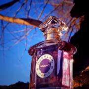 Insolence Eau de Parfum Guerlain perfume - a fragrance for