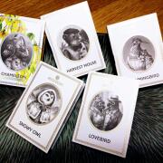 Photo by Christine 78