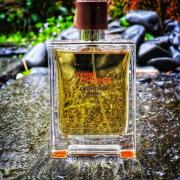 Terre D'Hermes Eau Intense Vetiver Hermès cologne