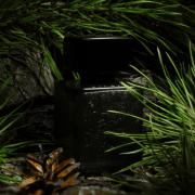 Photo by Sweet Orchid