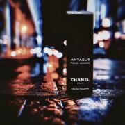 Antaeus Chanel cologne a fragrance for men 1981