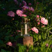 Drôle de Rose by L'Artisan Parfumeur » Reviews & Perfume Facts