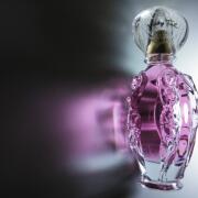 Photo by Miss. l'amour! ❤️