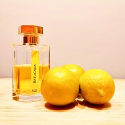 新品未開封 L'Artisan Parfumeur Batucada 100ml Batucada L'Artisan Parfumeur perfume - a fragrance for women and