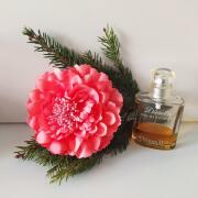 Photo by Корица1970