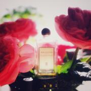 Sa Majeste la Rose Serge Lutens 香水- 一款2000年中性香水