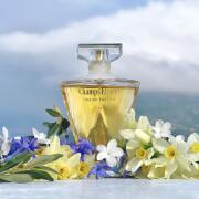 Champs Elysees Eau de Parfum Guerlain perfume - a fragrance