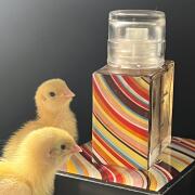 Photo by Лялюша