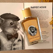 Zoologist harvest mouse ズーロジスト　ハーベストマウス ハーベスト マウス – NOSE SHOP