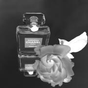 Gardénia Extrait de Parfum Chanel perfume - a fragrance for women and men  2017