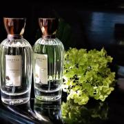 La Violette Goutal perfume - a fragrance for women 2001