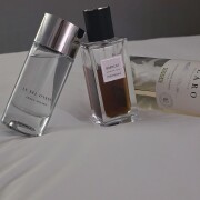 Babycat Yves Saint Laurent 香水 - 2022年のユニセックス フレグランス