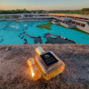 Photo by wasifrezawr