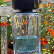 L'Instant d'un Ete pour Homme Guerlain