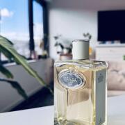 Infusion d'Iris Prada perfumy - to perfumy dla