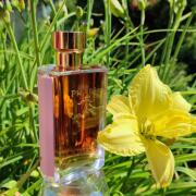 m*u様 ほぼ未使用☆PRADA La Femme EDP 100ml Prada La Femme | Perfumeria DOUGLAS