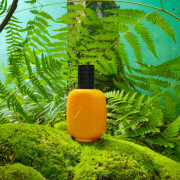 Vanille Paradoxe Les Parfums de Rosine perfume - a fragrance for 