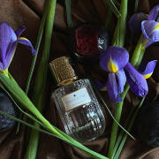 Photo by nonparadigma