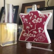 Express The Alchemy Corner 17 AMBROXAN EDT Fragrance 1.7oz / 50ml Perfume  🌺New