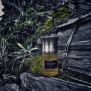 Belle Bete Les Liquides Imaginaires perfume - a fragrância