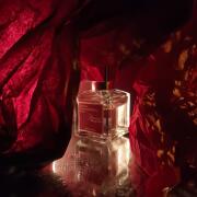 Photo by fabrice1977