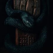 Photo by JUAN PIEDRA C.