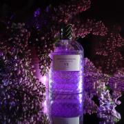 Parco Palladiano VII: Lillà Bottega Veneta perfume - a fragrance 
