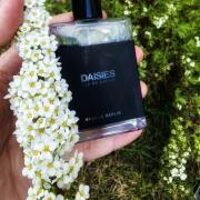 Photo by Mediterranea