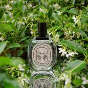 Olene Diptyque perfume - a fragrance for women 1988