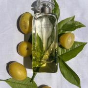 HERMES LE JARDIN DE MONSIEUR LI 李氏の庭 Le Jardin sur Monsieur Li Eau de Toilette - HERMÈS