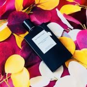 Moonlight Patchouli Van Cleef & Arpels perfume - a fragrance for women ...