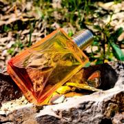 bronze goddess fragrantica