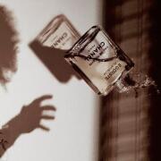 Egoiste Platinum Chanel Colônia - a fragrância Masculino 1993