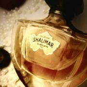 Photo by TheNoseNotes