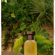 Vetiver Ambrato Bois 1920 perfume - a fragrance for women