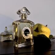 Photo by Маривиктори