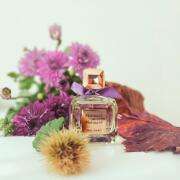 Molinard de Molinard Molinard perfume - a fragrance for women 2017