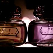 Covet fragrantica online