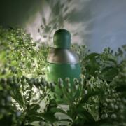 Photo by fabrice1977