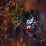 Photo by Tatianka_92