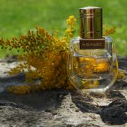 fragrantica nomade